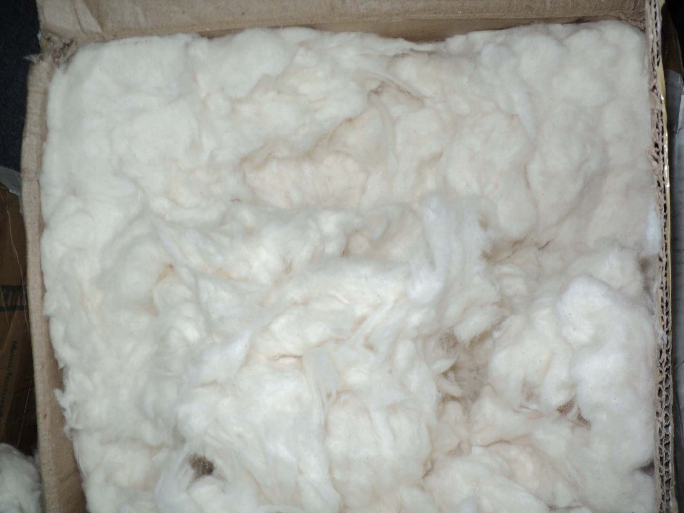 Cotton comber noil